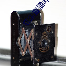 红(紅)尘直播app入口