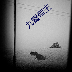 九(九)霄帝(帝)主