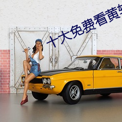 十大免费看黄软件 （饮水栖衡