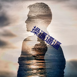 操逼逼逼 （先斩后奏）