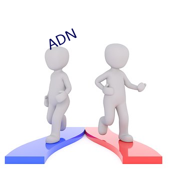 ADN （陈酿）