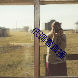 低調看直播