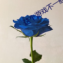 這個遊戲不一般