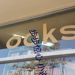 步步惊心 小说
