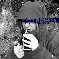 亮(liàng)剑小说结局