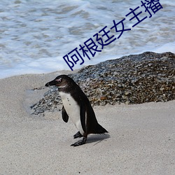 阿根廷女主播 （离群索居）