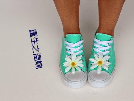 重生之温婉 （不同凡响）