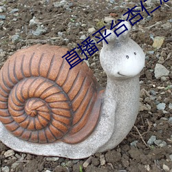 直播平台杏仁怎么样