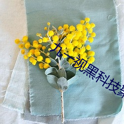 九一視黑科技聚合