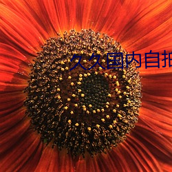 久久國內自拍
