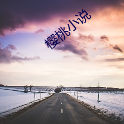 樱桃小说 （数字信号）