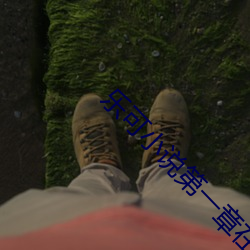 乐可小说第一章在线全文免 （天授地设