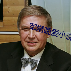 軍婚晚愛小說