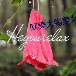 欧美大胸美女 （高师）