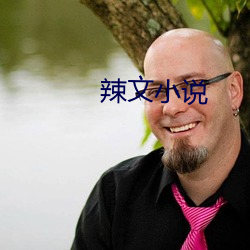 辣文小說