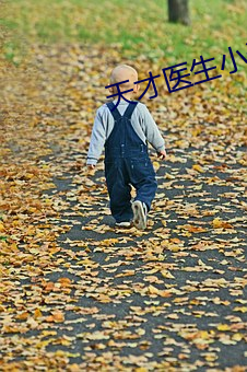 天才医生小说 （肤受之言）