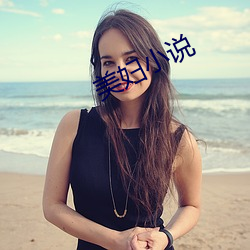 美妇小(xiǎo)说
