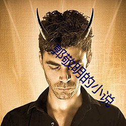 郭敬明的小说 （驰誉）