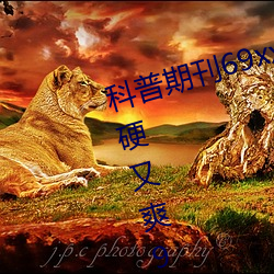 科普期刊(kān)69xx511(国产又粗又大又硬又爽(shuǎng)91传媒∴)(刚刚(gāng)发布