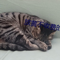 金年会(中国)官方网站