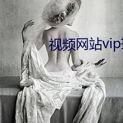 视频网站vip插件