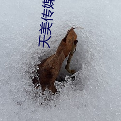 918博天堂·(中国)手机版客户端