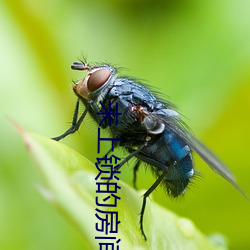 未上鎖的房間3