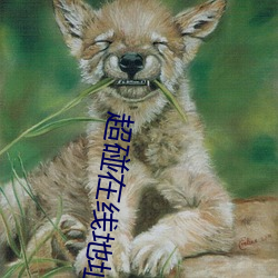 超碰在线地(dì)址