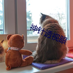 AG真人平台(中国)官方网站