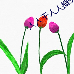 人人干人人操97