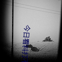 vwinӮ(й) - ٷվ