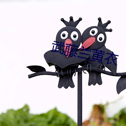 武藤兰黄衣 （词目）
