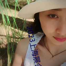2023上海展会 （辐条）