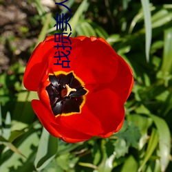 918博天堂·(中国)手机版客户端