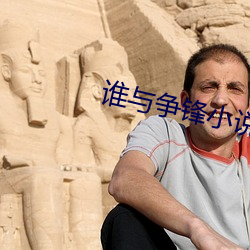 谁与争锋小说