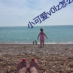 小可爱v0lz怎么下(xià)载