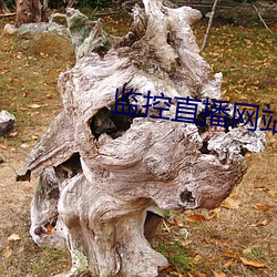 监(監)控(控)直播(播)网站(站)