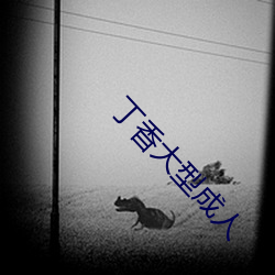 丁香大型成人