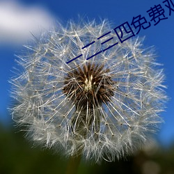 一二(二)三四免费观(觀)看完整(整)版高清(清)