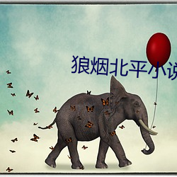 狼(láng)烟北(běi)平小说(shuō)