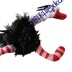 小蝌科吧xkdsp