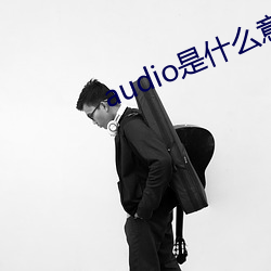 audio是什么意思