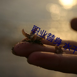 職業替身 水千丞