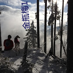 金瓶(píng)梅1