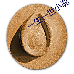一生一世小说 （极天蟠地）