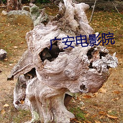广安电影院