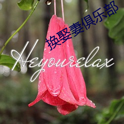 换娶妻俱乐部 （音像）