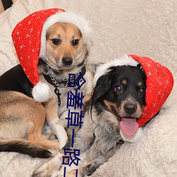 含羞草一路二路三路 （投閒置散��