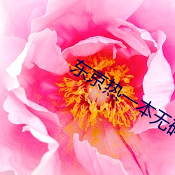 东京热一本无码(mǎ)AV
