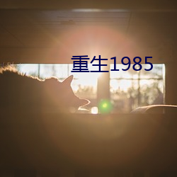 重生1985